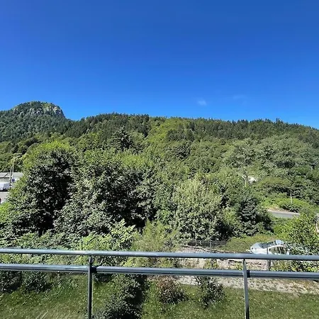 Le B4 - La Montille - Lumineux - Parking Couvert - Wifi * Le Mont-Dore